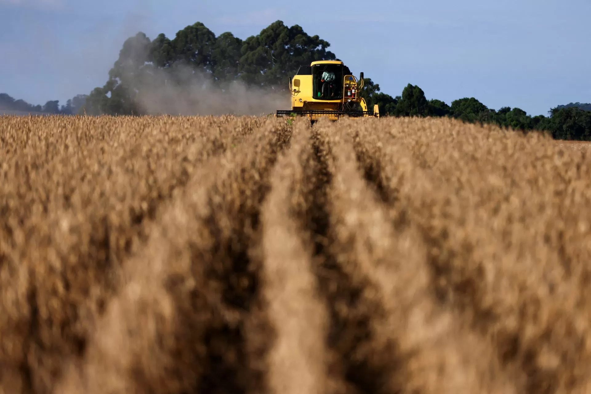 Pedidos de recuperação judicial no agro disparam 147% no 3º trimestre, diz Serasa