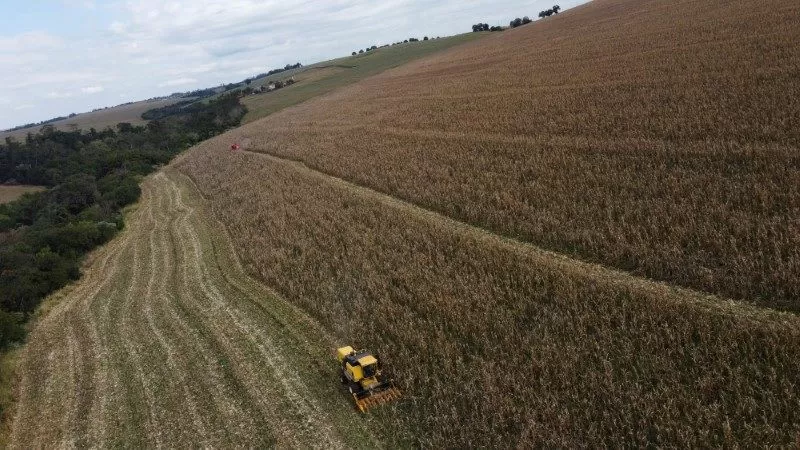 AgRural eleva previsão para safras de soja e milho do Brasil; colheita está acelerada