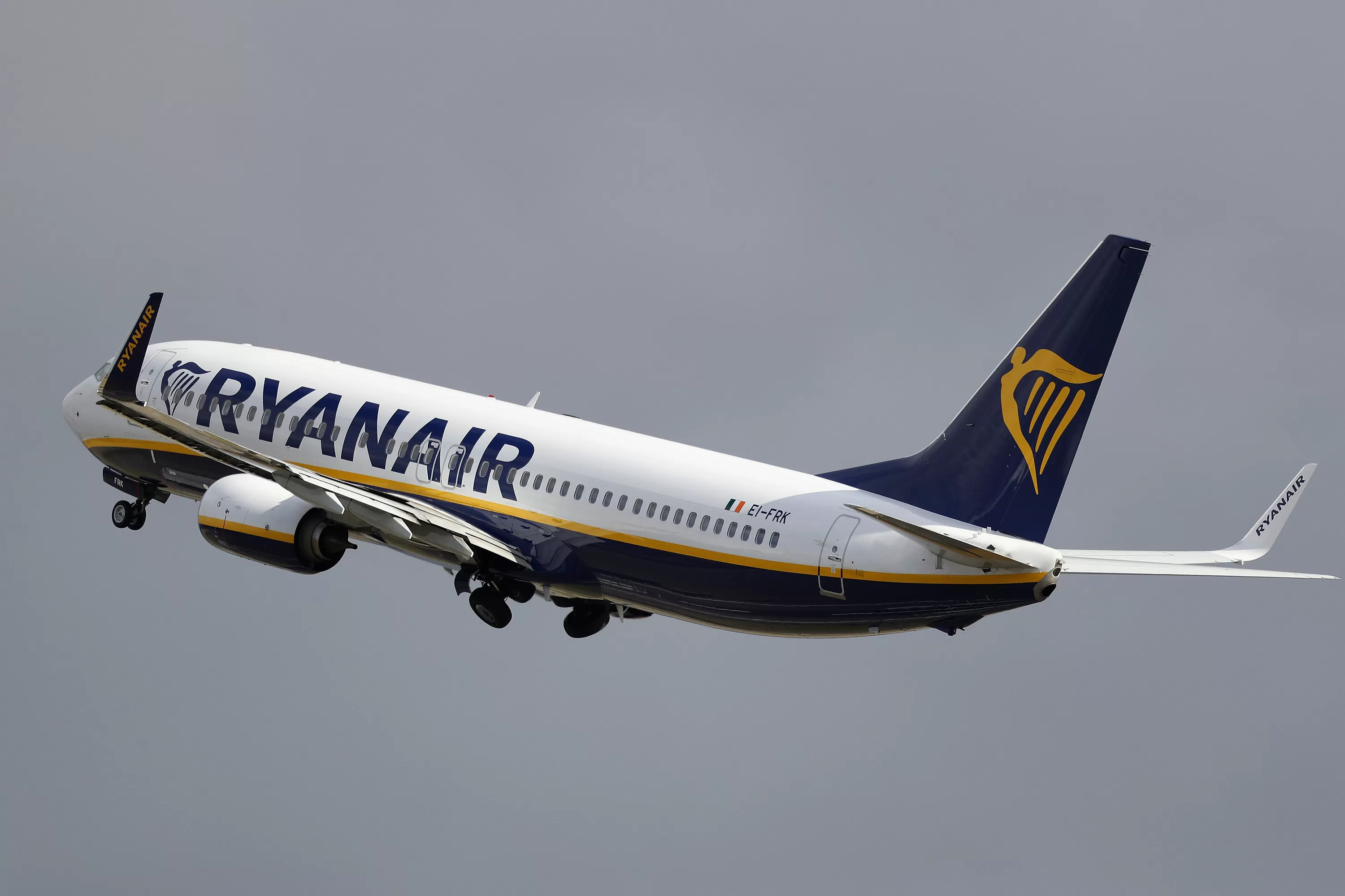 CEO da Ryanair descarta Starlink e ironiza Elon Musk após polêmica