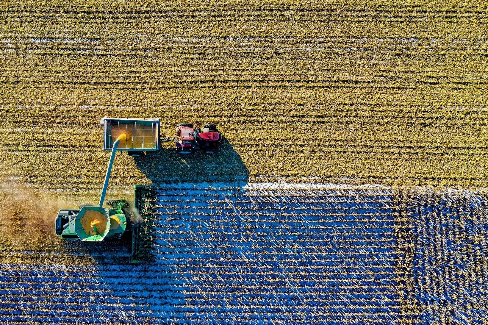 Mercosul-UE: cota e barreira não tarifária limitam ganhos para agronegócio