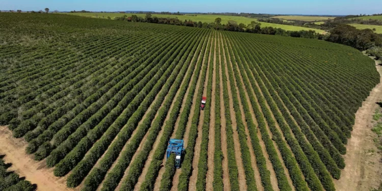 Associações de setores taxados pelos EUA acreditam em reversão da alíquota de 50%