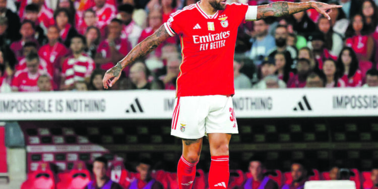 Benfica SAD: uma montanha-russa de lucros e prejuízos. Veja o “Jogo Económico”