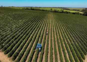 Associações de setores taxados pelos EUA acreditam em reversão da alíquota de 50%