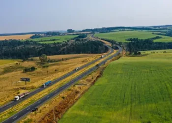 Consórcio Infraestrutura PR vence Lote 4 do leilão de rodovias do Paraná