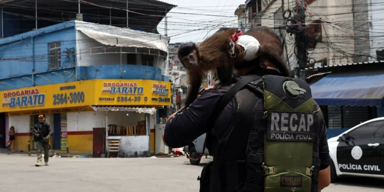 Quanto a violência custa ao Brasil? A conta já passou do trilhão