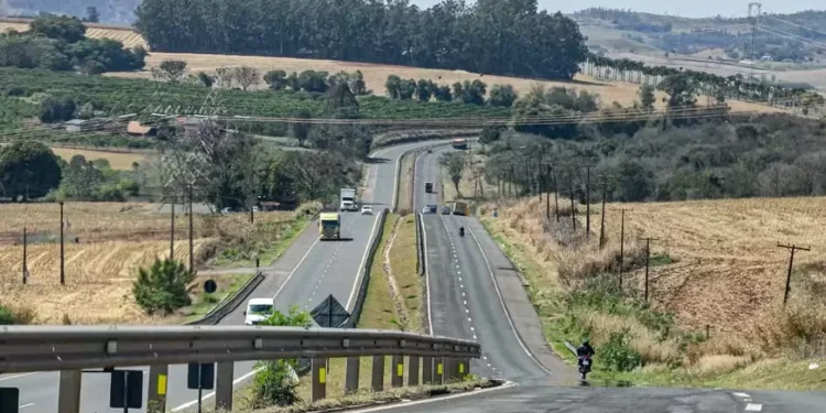 Grupo Pátria vence leilão do Lote 5 de rodovias do Paraná com desconto de 23,83%