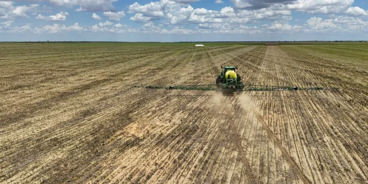 Excesso de soja na China pode acabar com esperanças de exportação dos EUA