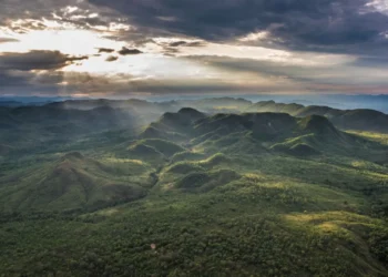 A riqueza que vem da natureza protegida