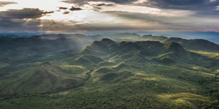 A riqueza que vem da natureza protegida