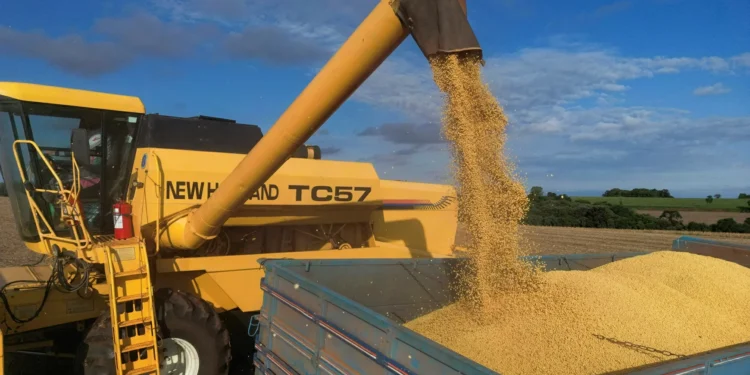 IGP-M tem primeira queda na janela de 12 meses desde maio de 2024