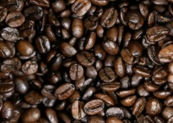 Possível recorde para safra de café do Brasil em 2026 anima setor para repor estoques