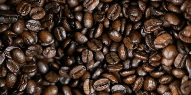 Possível recorde para safra de café do Brasil em 2026 anima setor para repor estoques