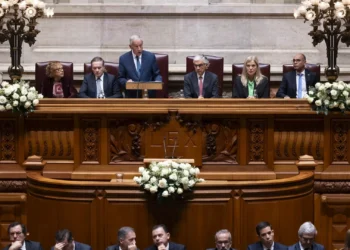 Até nas flores: direita e esquerda mantêm divergências sobre 25 de Novembro na AR