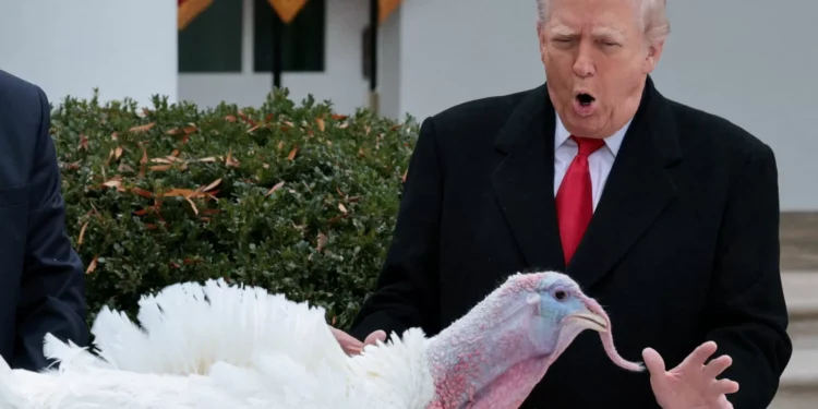 Preço mais baixo do jantar de Ação de Graças entra na propaganda do governo Trump