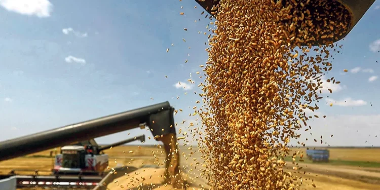 Governo aprova medidas para reforçar o autoaprovisionamento de cereais cuja taxa se situa em 19%
