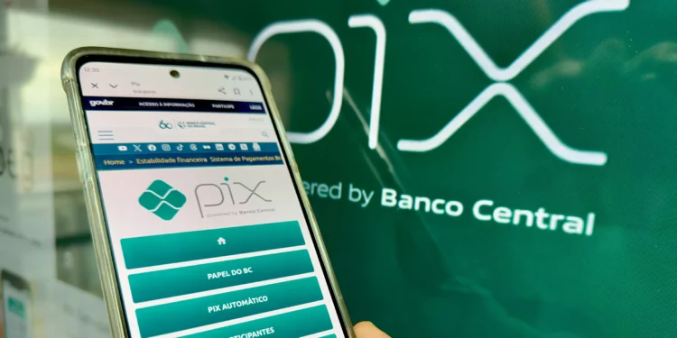 Pix lidera como meio de pagamento das compras neste Natal