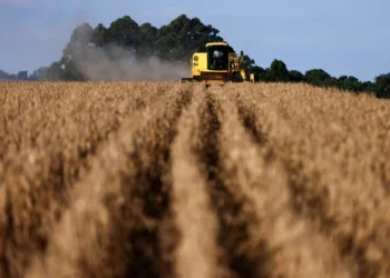 Pedidos de recuperação judicial no agro disparam 147% no 3º trimestre, diz Serasa