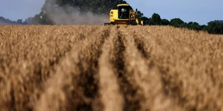 Pedidos de recuperação judicial no agro disparam 147% no 3º trimestre, diz Serasa