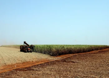 Preços ao produtor no Brasil recuam 0,48% em outubro, na 9ª queda seguida