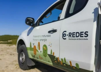 E-Redes vai ser julgada por abate ilegal de sobreiros em Oliveira de Azeméis