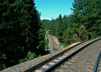 Transdev “analisará todos os processos” na subconcessão de linhas da CP