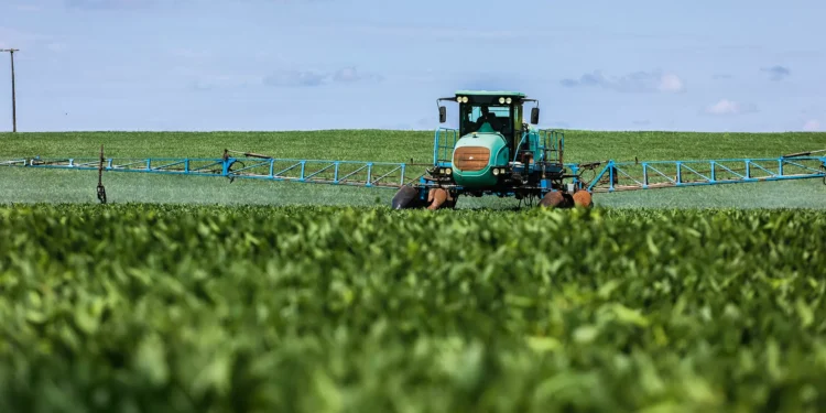Terra Santa tem terras avaliadas em R$ 2,8 bilhões pela S&P