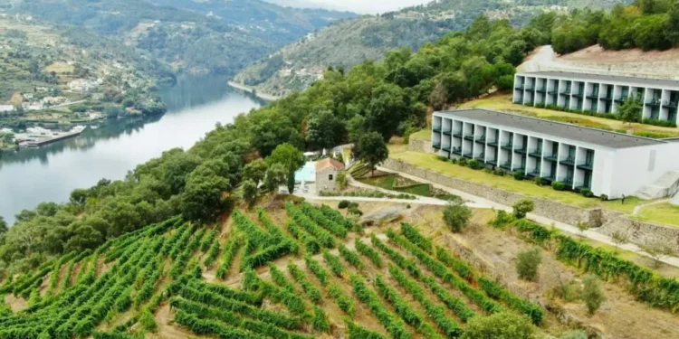 CIM Douro aprova quase 20 milhões de euros de investimento para apoio às empresas da região