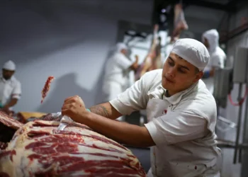 Japão, Indonésia e Coreia do Sul podem ser novos destinos para carne, diz Apex