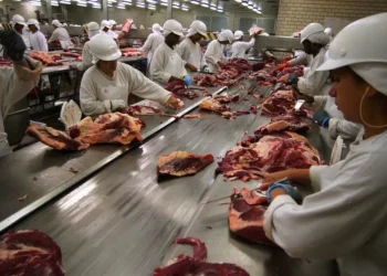 Tarifas chinesas sobre a carne bovina começam a valer nesta quinta
