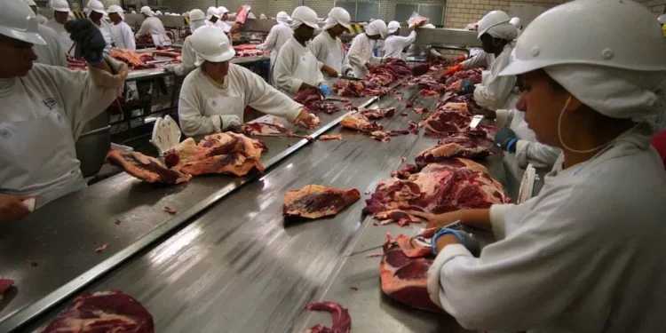 Tarifas chinesas sobre a carne bovina começam a valer nesta quinta