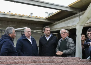 Reserva agrícola europeia “não chega” para dimensão dos estragos em Portugal