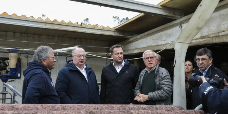 Reserva agrícola europeia “não chega” para dimensão dos estragos em Portugal