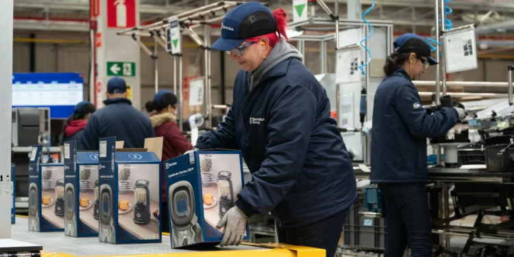 Fim da escala 6×1: Quase metade dos eleitores deixariam de votar em quem é contra