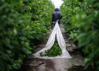 Beja vai receber, esta sexta-feira, Conselho Consultivo da CAP