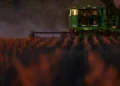 Colheita de soja do Brasil se aproxima de 40% da área, diz Pátria AgroNegócios