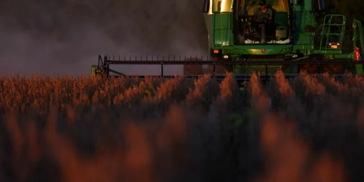 Colheita de soja do Brasil se aproxima de 40% da área, diz Pátria AgroNegócios