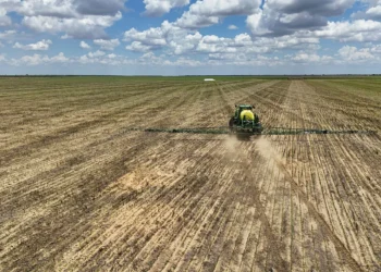 Ministério da Agricultura reduz projeção do Valor Bruto da Produção para R$ 1,371 tri