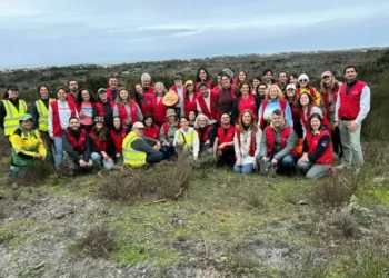 Fidelidade e associação Zero unem esforços para reflorestar a Mata Nacional de Leiria